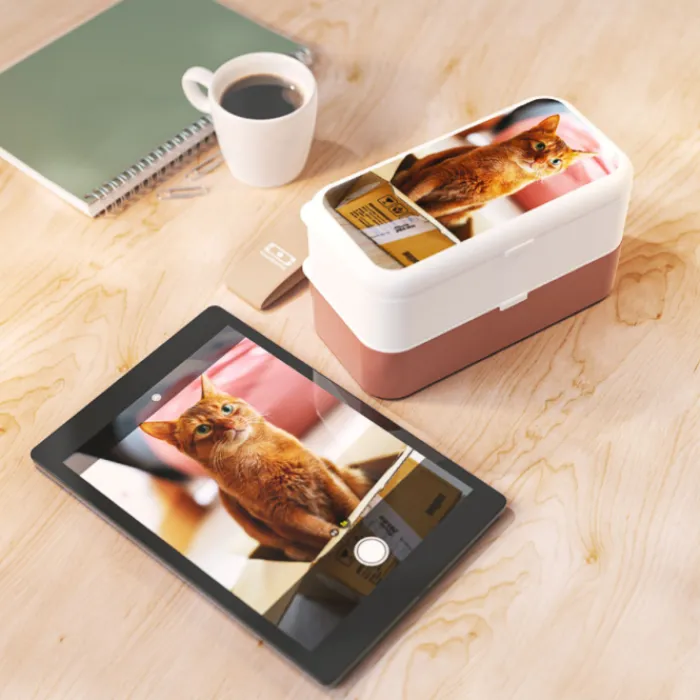Monbento Lunch box personnalisable avec photo - Expu00e9dition u00e0 partir du 10/01/2025 Online